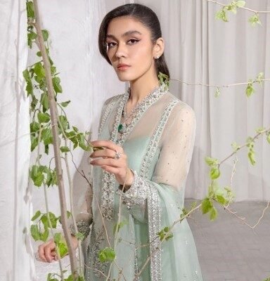 Alt text: "Faiza Saqlain article featuring an organza full handmade shirt with intricately embroidered sleeves and back, paired with a ready-to-wear net dupatta for a graceful and elegant look."